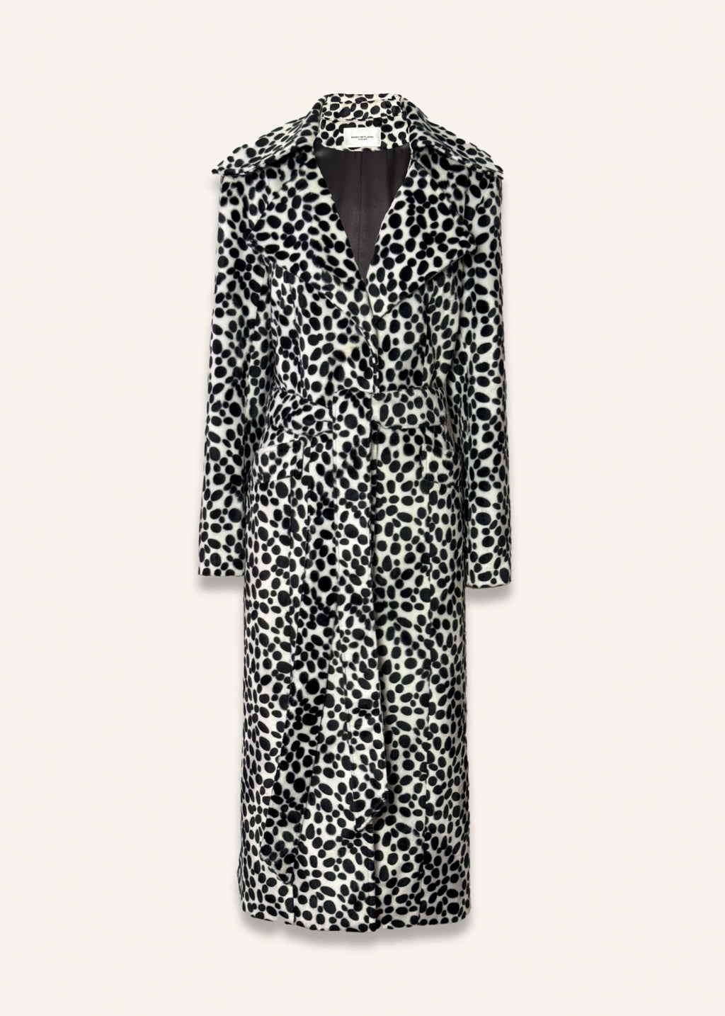 Long dalmatiner coat