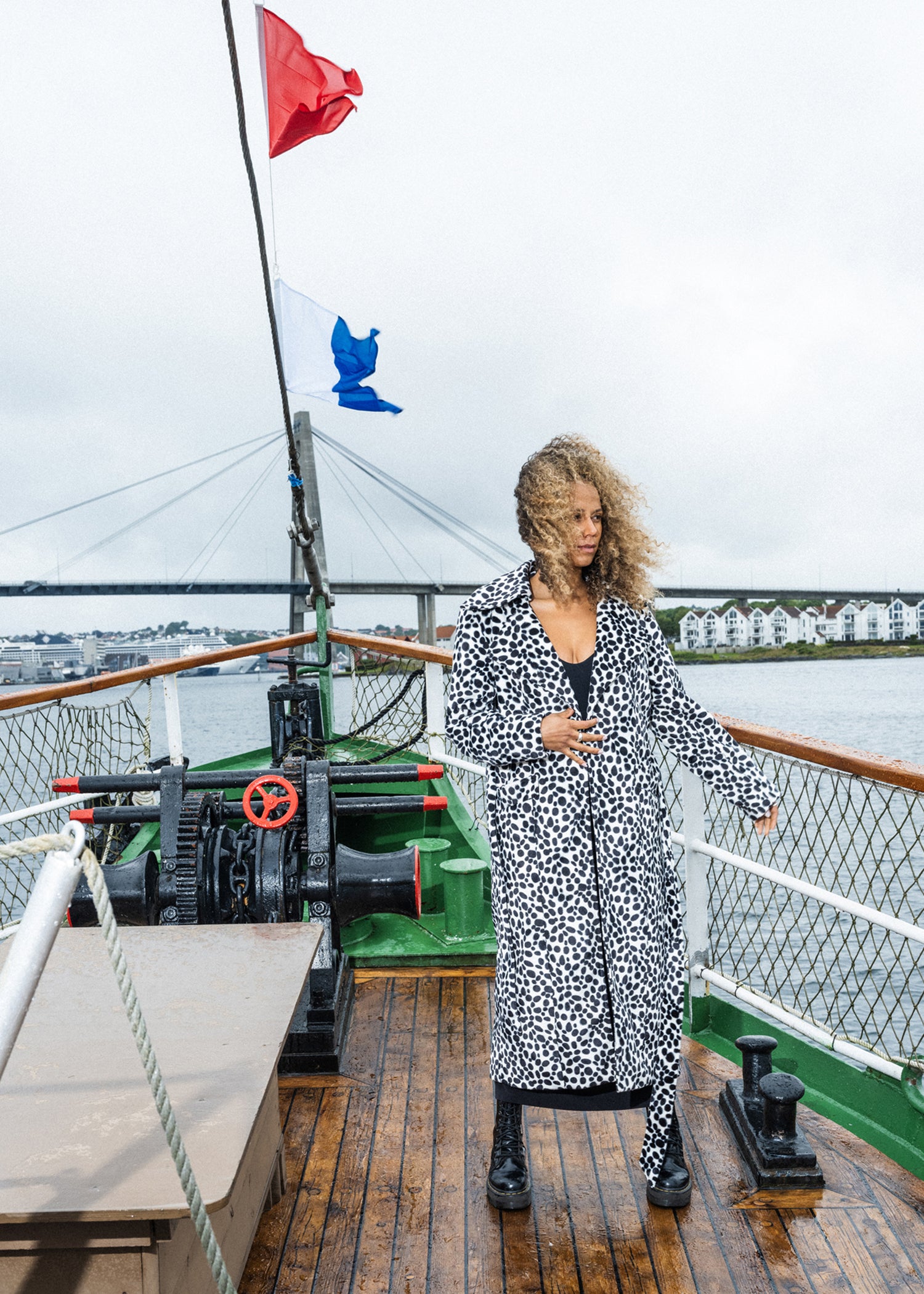 Long dalmatiner coat