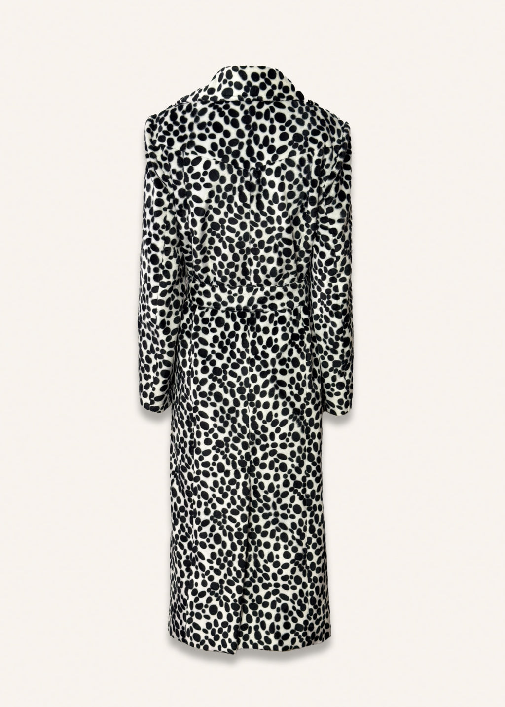 Long dalmatiner coat