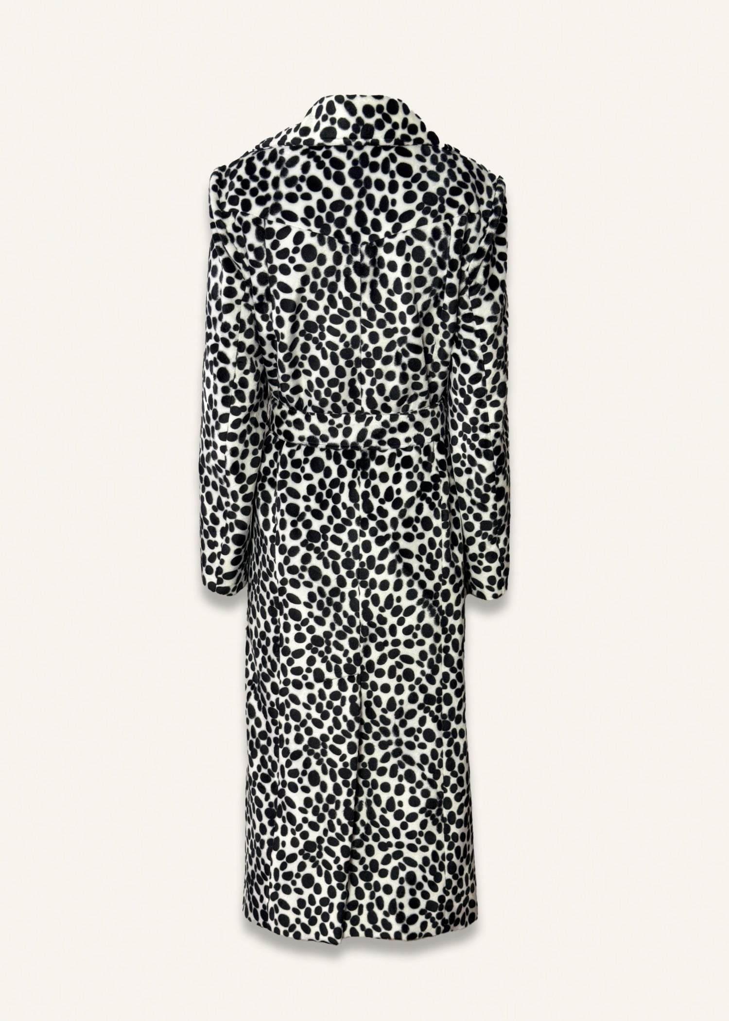 Long dalmatiner coat